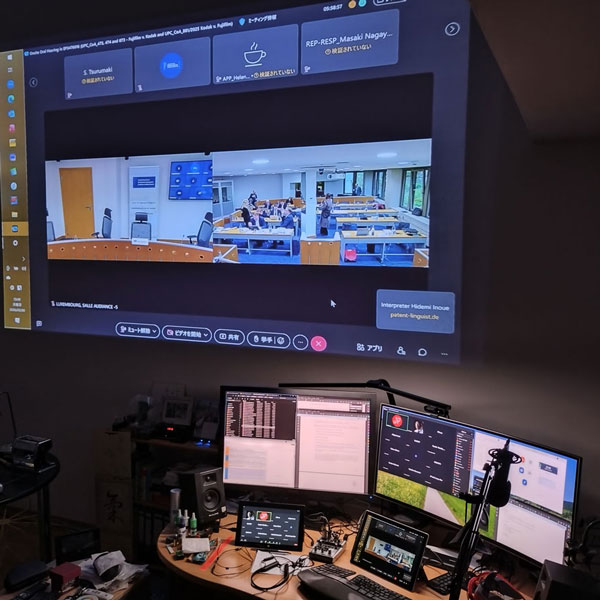 Online interpretation